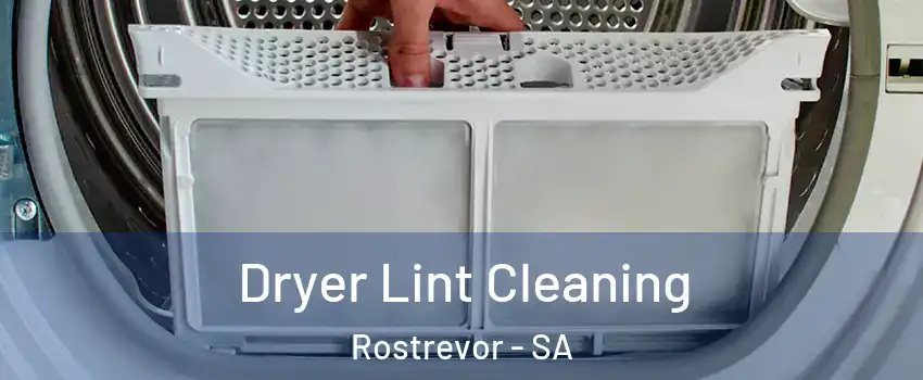  Dryer Lint Cleaning Rostrevor - SA