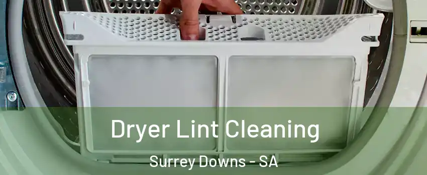  Dryer Lint Cleaning Surrey Downs - SA
