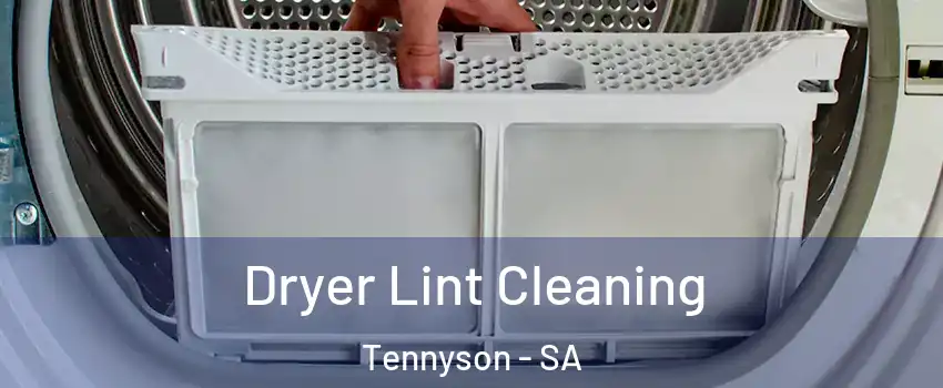  Dryer Lint Cleaning Tennyson - SA