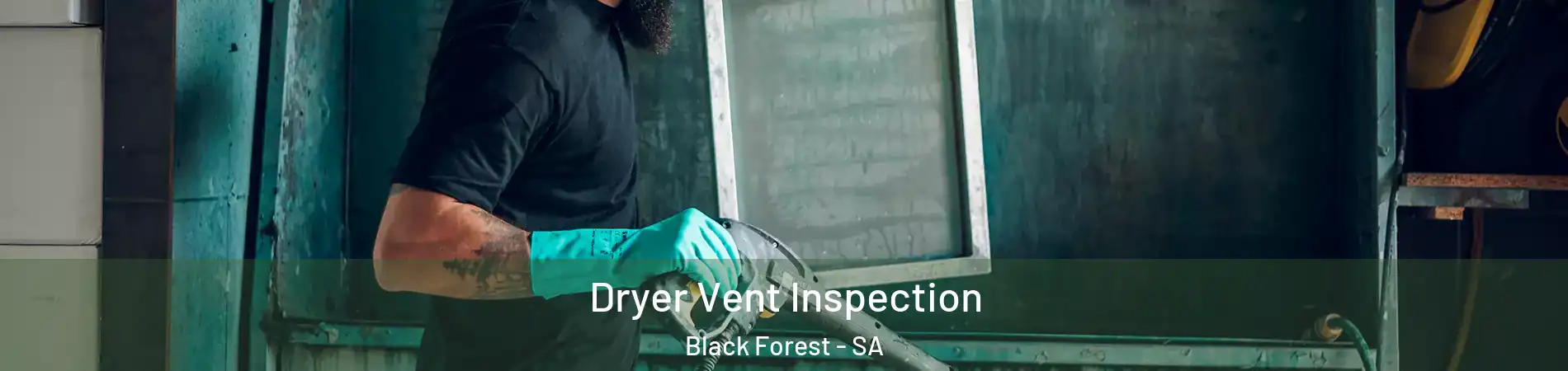 Dryer Vent Inspection Black Forest - SA