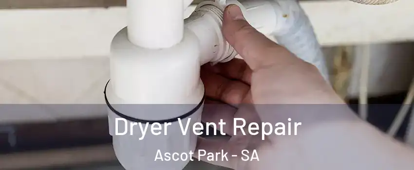 Dryer Vent Repair Ascot Park - SA