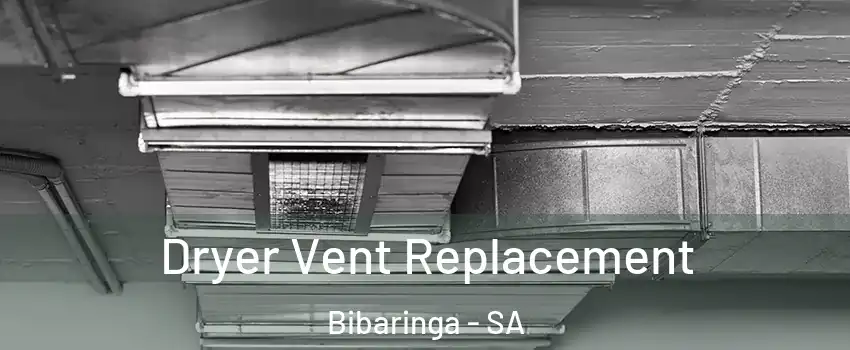 Dryer Vent Replacement Bibaringa - SA