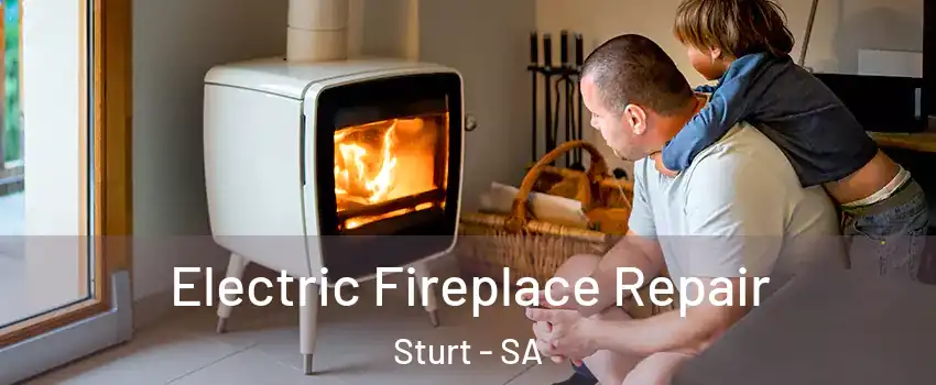  Electric Fireplace Repair Sturt - SA