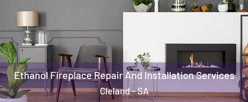 Ethanol Fireplace Repair And Installation Services Cleland - SA