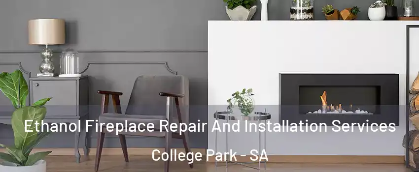 Ethanol Fireplace Repair And Installation Services College Park - SA