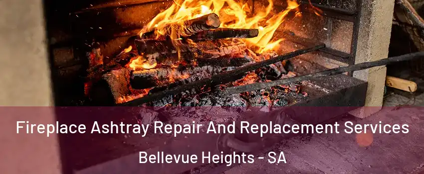 Fireplace Ashtray Repair And Replacement Services Bellevue Heights - SA