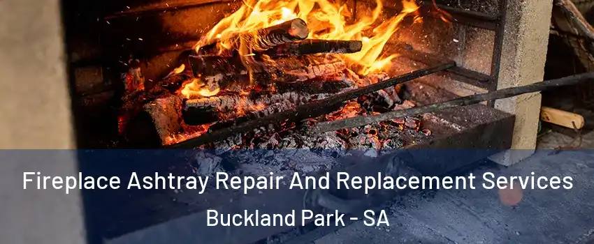 Fireplace Ashtray Repair And Replacement Services Buckland Park - SA