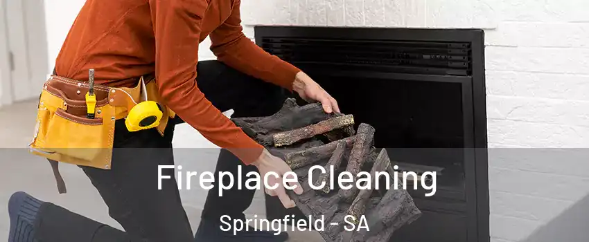  Fireplace Cleaning Springfield - SA