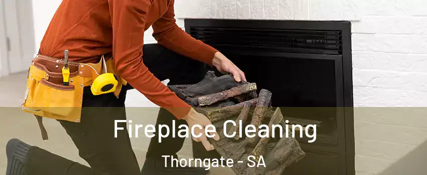 Fireplace Cleaning Thorngate - SA