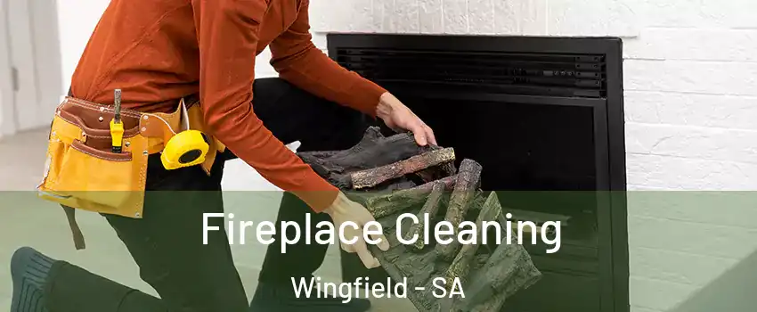 Fireplace Cleaning Wingfield - SA