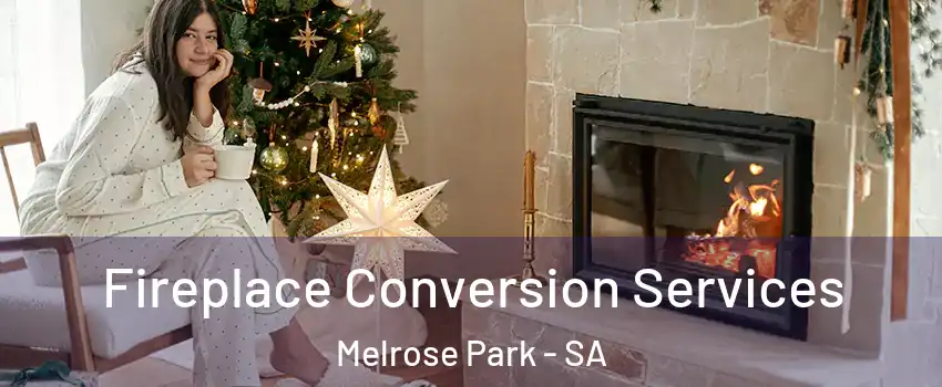  Fireplace Conversion Services Melrose Park - SA