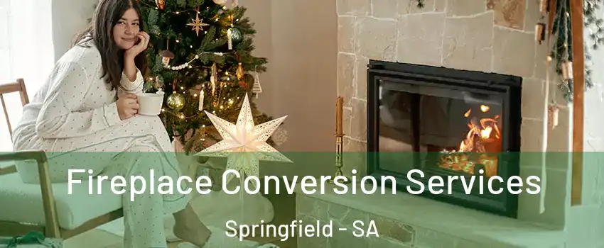  Fireplace Conversion Services Springfield - SA