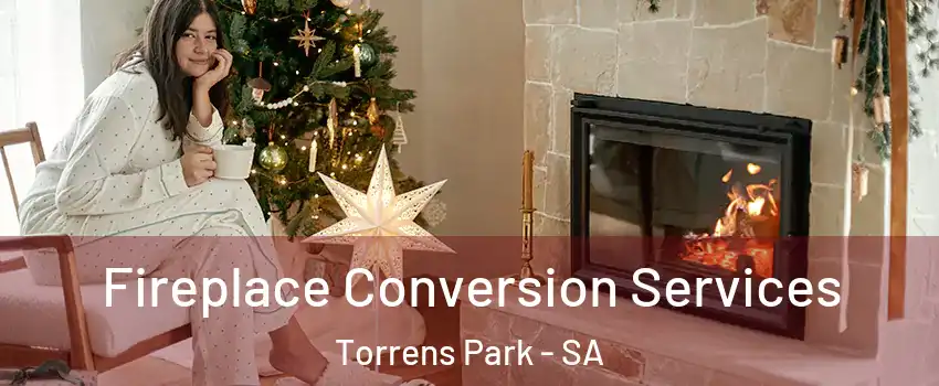  Fireplace Conversion Services Torrens Park - SA