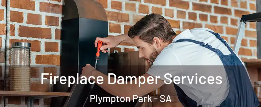  Fireplace Damper Services Plympton Park - SA