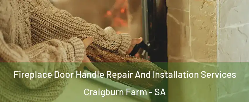 Fireplace Door Handle Repair And Installation Services Craigburn Farm - SA