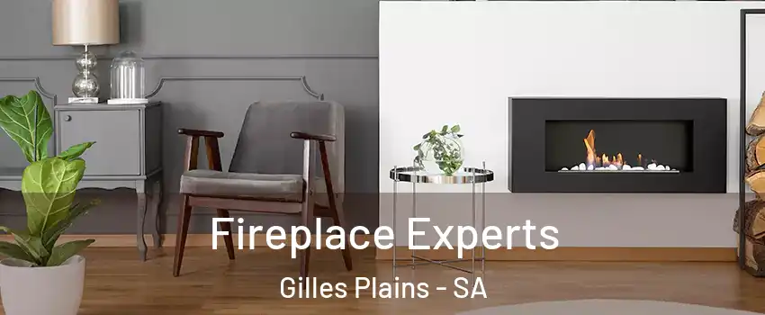 Fireplace Experts Gilles Plains - SA