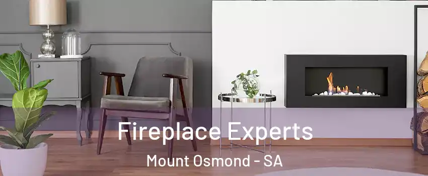  Fireplace Experts Mount Osmond - SA