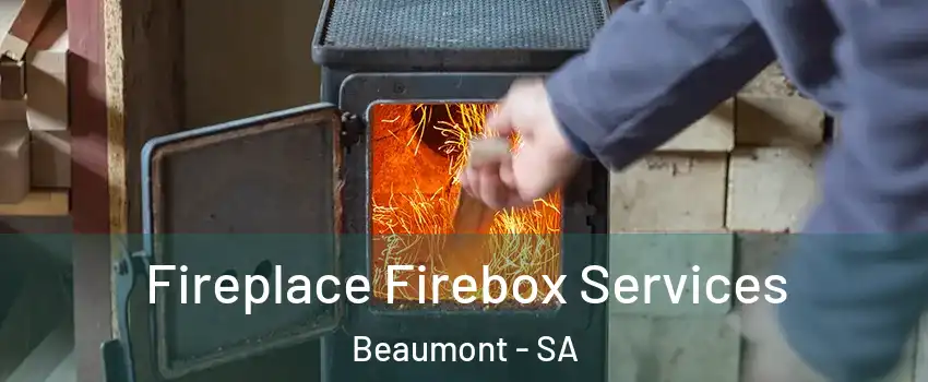  Fireplace Firebox Services Beaumont - SA