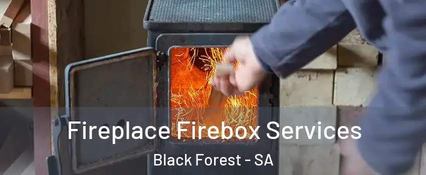 Fireplace Firebox Services Black Forest - SA