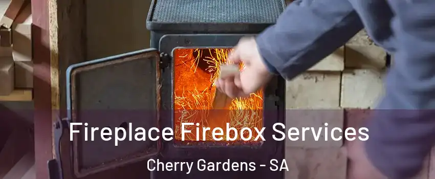 Fireplace Firebox Services Cherry Gardens - SA