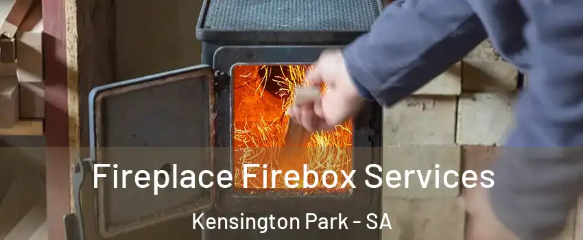  Fireplace Firebox Services Kensington Park - SA