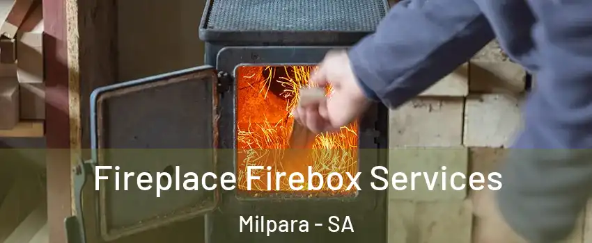  Fireplace Firebox Services Milpara - SA