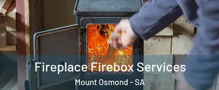  Fireplace Firebox Services Mount Osmond - SA