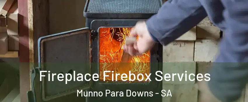  Fireplace Firebox Services Munno Para Downs - SA