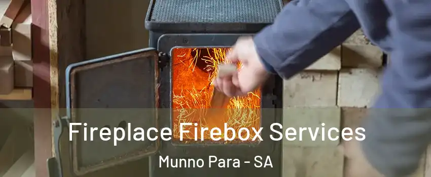  Fireplace Firebox Services Munno Para - SA