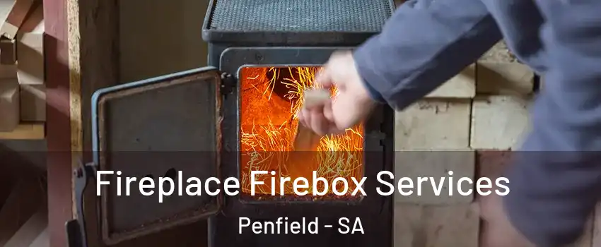 Fireplace Firebox Services Penfield - SA