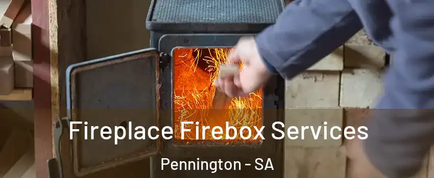  Fireplace Firebox Services Pennington - SA