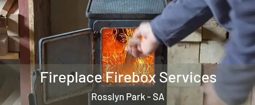  Fireplace Firebox Services Rosslyn Park - SA