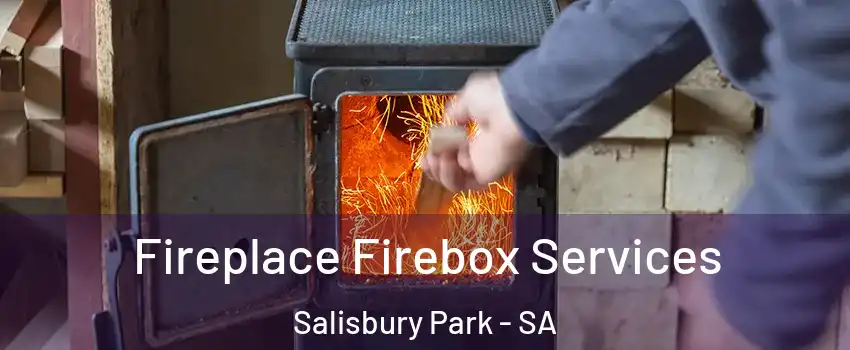  Fireplace Firebox Services Salisbury Park - SA