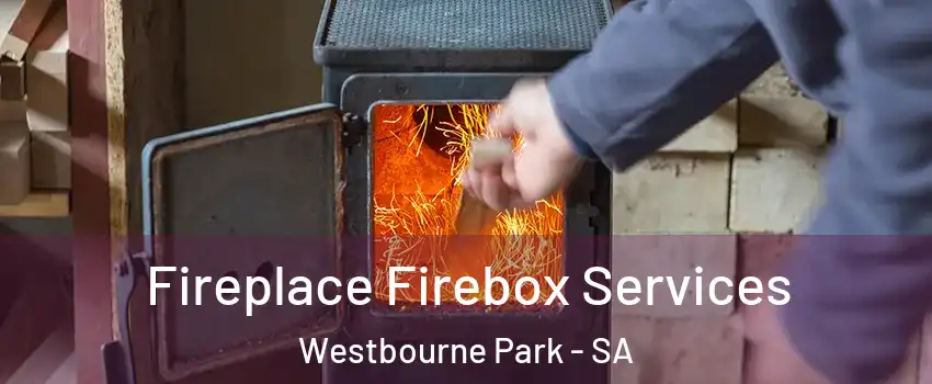  Fireplace Firebox Services Westbourne Park - SA