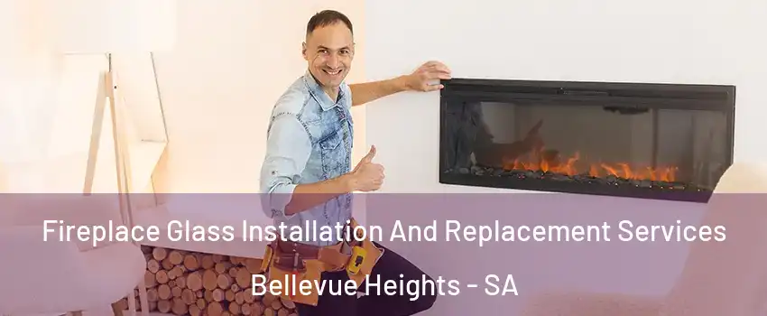 Fireplace Glass Installation And Replacement Services Bellevue Heights - SA