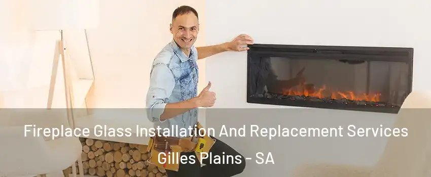 Fireplace Glass Installation And Replacement Services Gilles Plains - SA