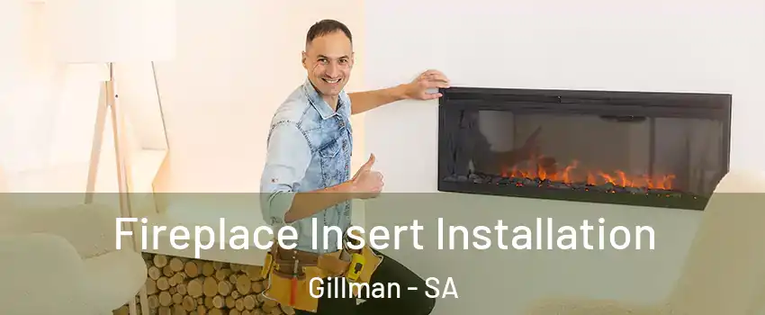 Fireplace Insert Installation Gillman - SA