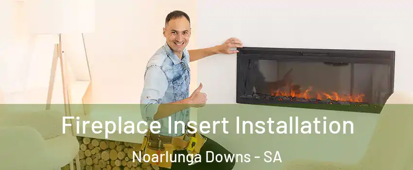  Fireplace Insert Installation Noarlunga Downs - SA