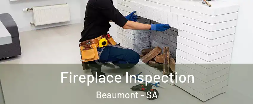 Fireplace Inspection Beaumont - SA