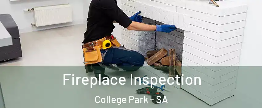 Fireplace Inspection College Park - SA