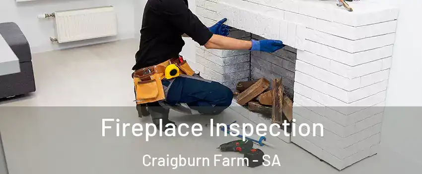 Fireplace Inspection Craigburn Farm - SA