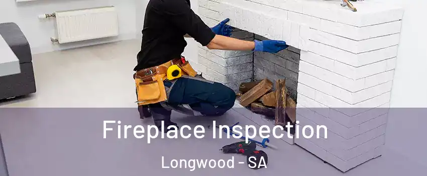  Fireplace Inspection Longwood - SA