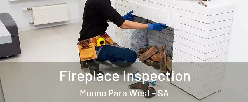  Fireplace Inspection Munno Para West - SA