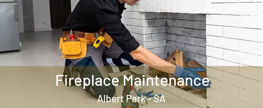 Fireplace Maintenance Albert Park - SA
