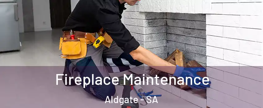 Fireplace Maintenance Aldgate - SA