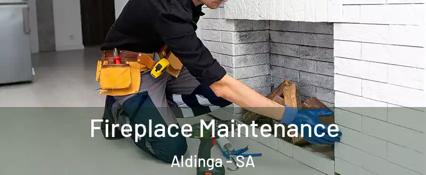 Fireplace Maintenance Aldinga - SA