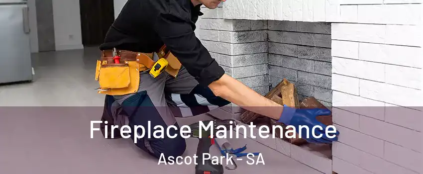 Fireplace Maintenance Ascot Park - SA