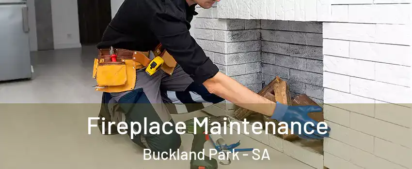 Fireplace Maintenance Buckland Park - SA