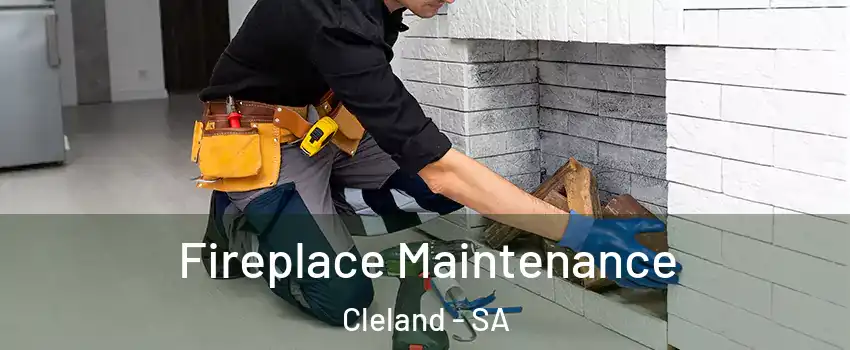 Fireplace Maintenance Cleland - SA