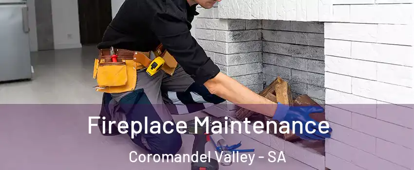 Fireplace Maintenance Coromandel Valley - SA